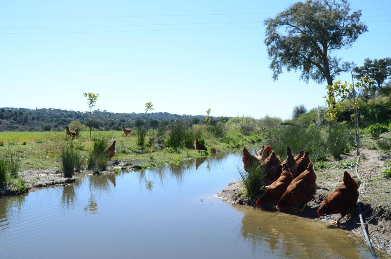 מלון פונטה דה סור Quinta Da Saudade מראה חיצוני תמונה