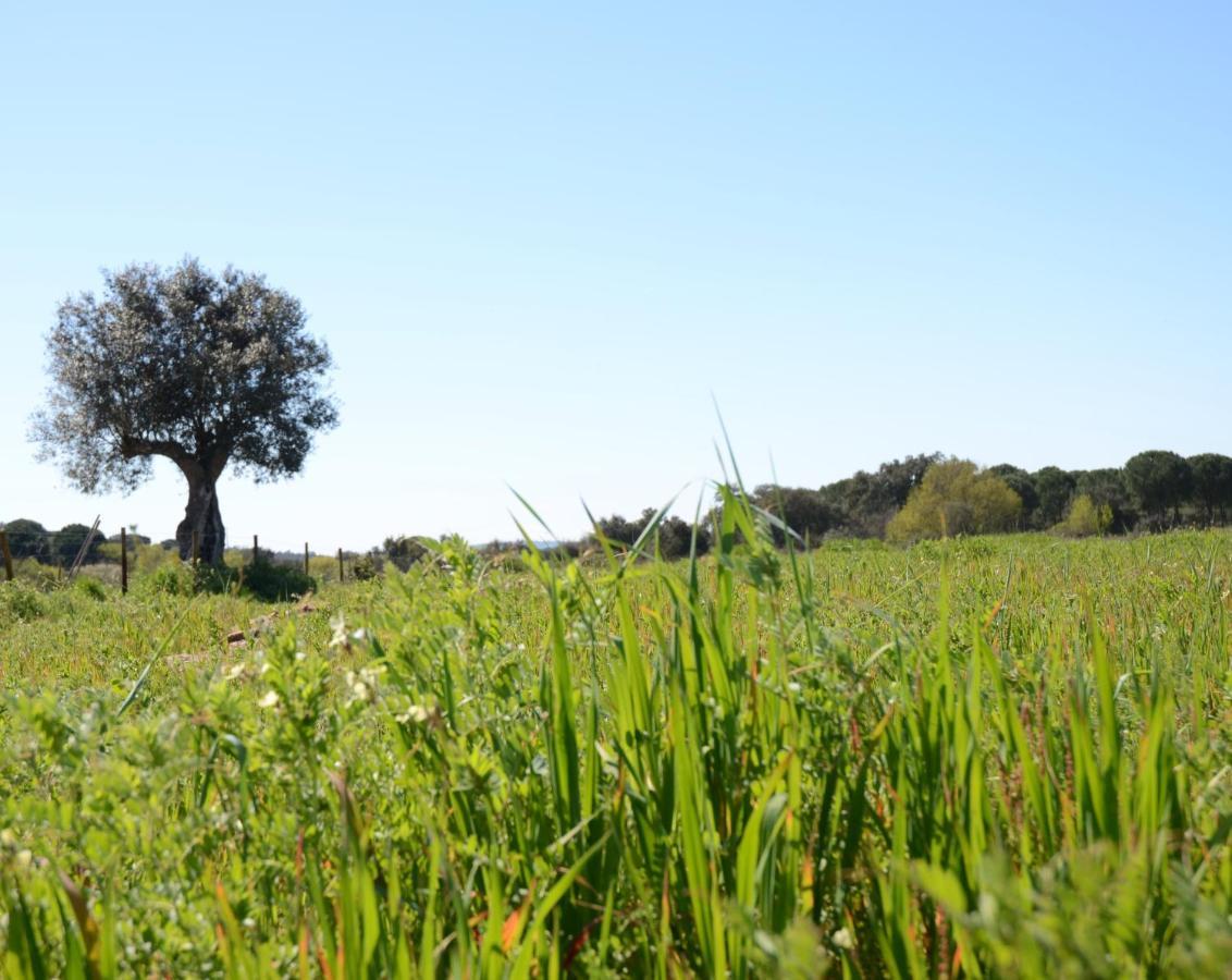 מלון פונטה דה סור Quinta Da Saudade מראה חיצוני תמונה