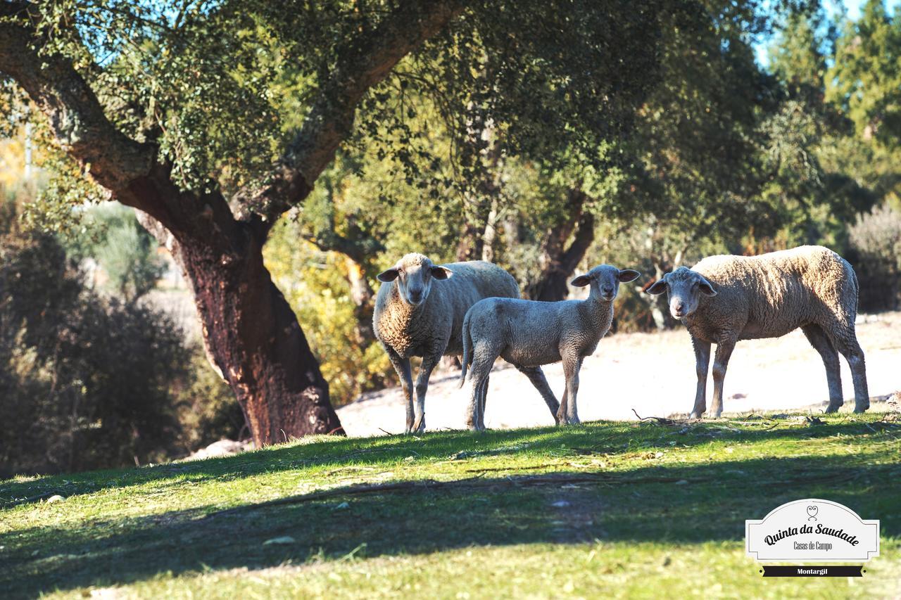 מלון פונטה דה סור Quinta Da Saudade מראה חיצוני תמונה