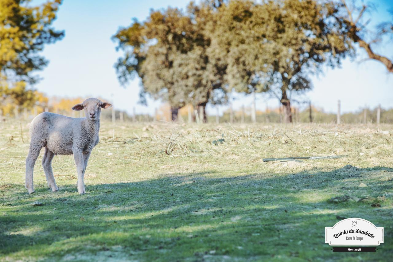 מלון פונטה דה סור Quinta Da Saudade מראה חיצוני תמונה