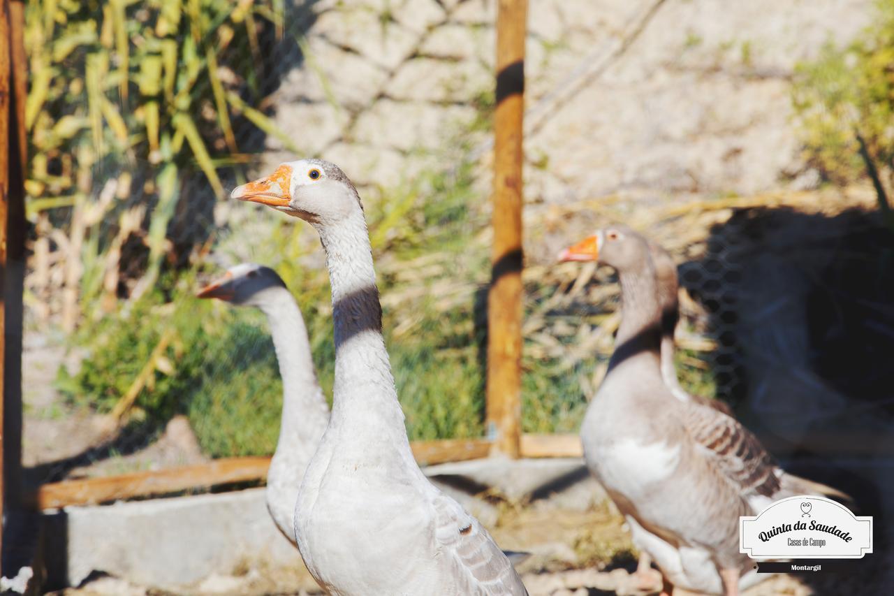 מלון פונטה דה סור Quinta Da Saudade מראה חיצוני תמונה