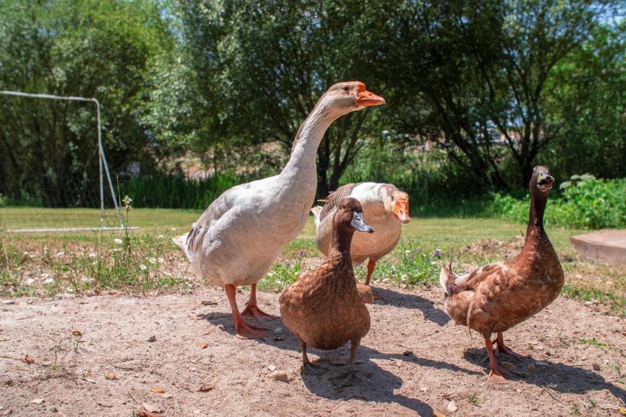 מלון פונטה דה סור Quinta Da Saudade מראה חיצוני תמונה
